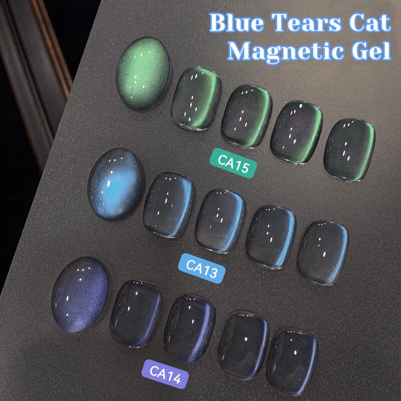 Blueberry Cat Magnetic Gel CA17 10ml - Image 7